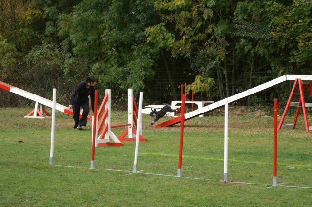 agility 2011-10-30